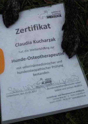 2017-Zertifikat Hunde-Osteotherapeutin Claudia Kucharzak